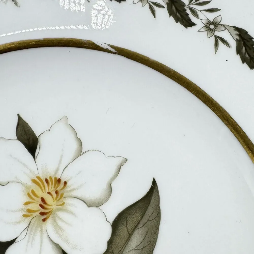 2 Vintage Royal Worcester Bernina 8” Salad Dessert Plates Made In England Flaw